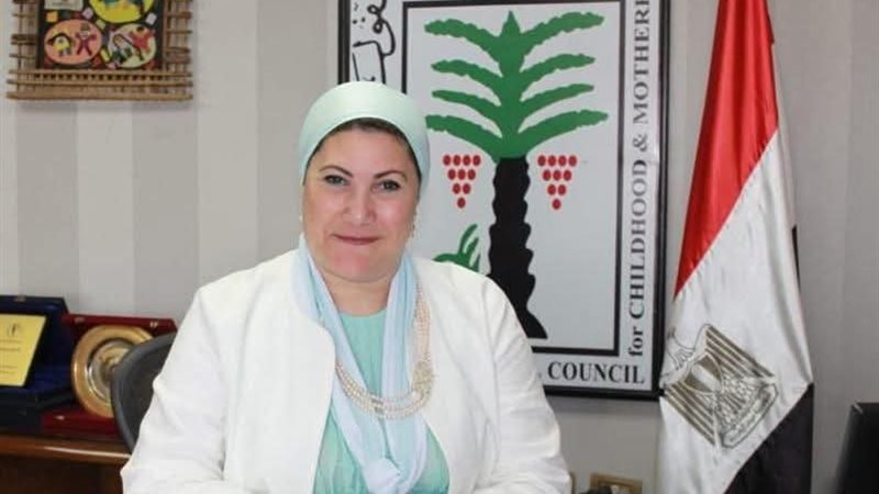 رئيس المجلس القومي