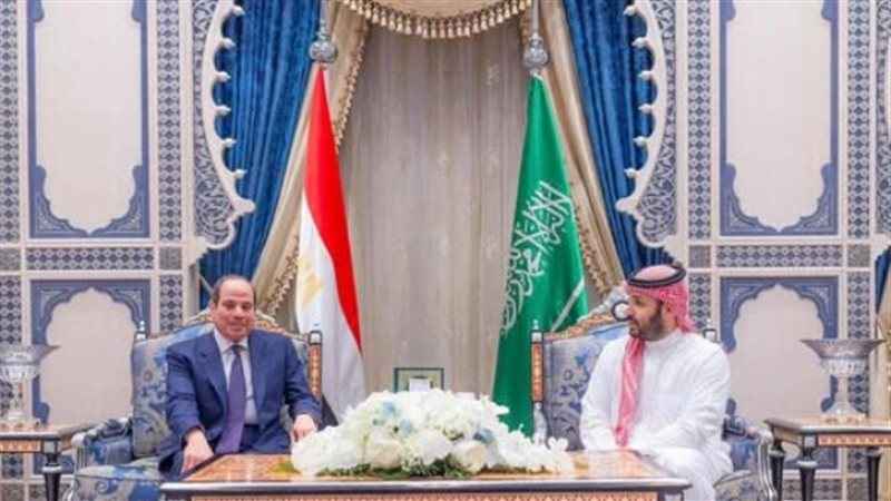 الرئيس السيسي وولي