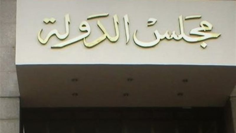 مجلس الدولة 