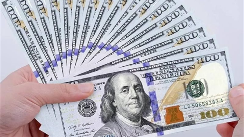 دولار امريكي 