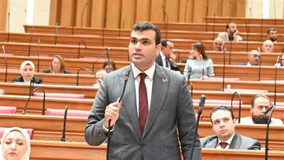 «بيئة غير آدمية».. نائب يطالب بمراجعة شاملة للكيانات الشبابية بسبب الفساد