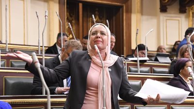 تحذير برلماني للحكومة: موجة غلاء غير مسبوقة تتطلب تحركًا فوريًا