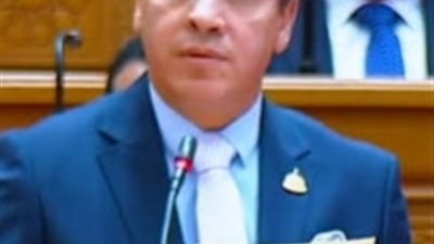 مصر رائدة في اكتشاف النفط في 1886.. لكن أين شركات التكرير؟ برلماني ينتقد الحكومة