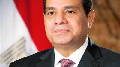 شراكة استراتيجية مرتقبة.. السيسي ورئيس قبرص يبحثان تعزيز التعاون الشامل