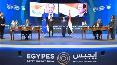 جبيلي: كلمة الرئيس في «إيجبس 2026» ترسخ دور مصر كقوة مؤثرة في توازنات الإقليم