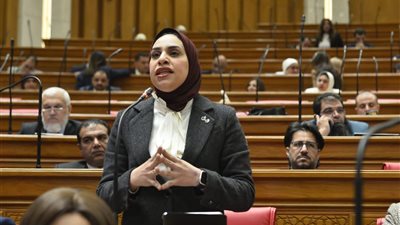 فاطمة عادل: الحكومة متساهلة مع سياسات الاقتراض الخارجي