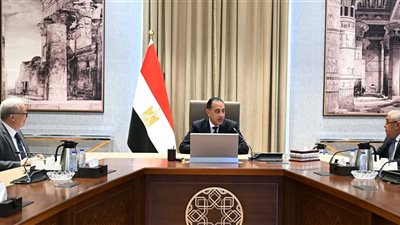 رئيس الوزراء يتابع مستجدات موقف ملف الشركات المملوكة للدولة
