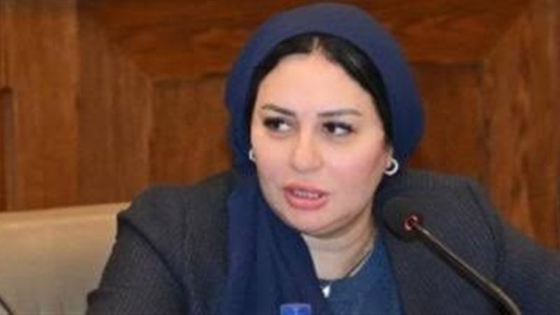 النائبة شيرين صبري