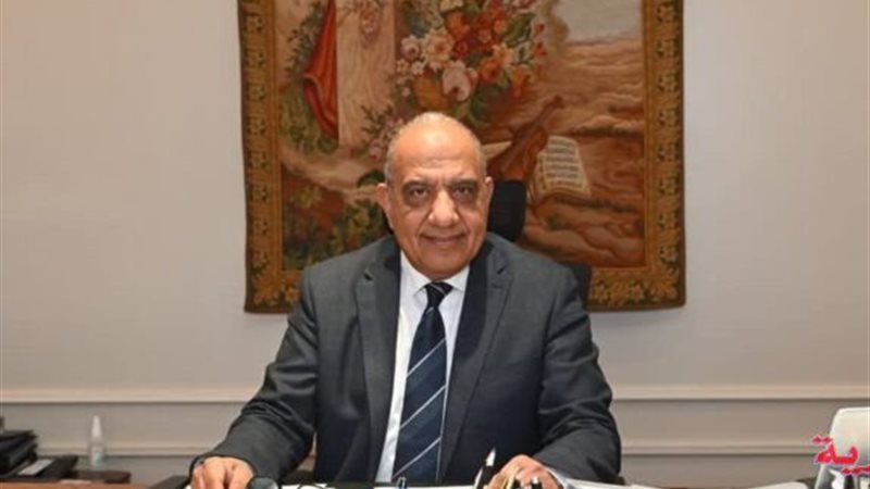 الدكتور محمود عصمت وزير الكهرباء