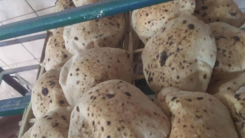 تموين المنيا 