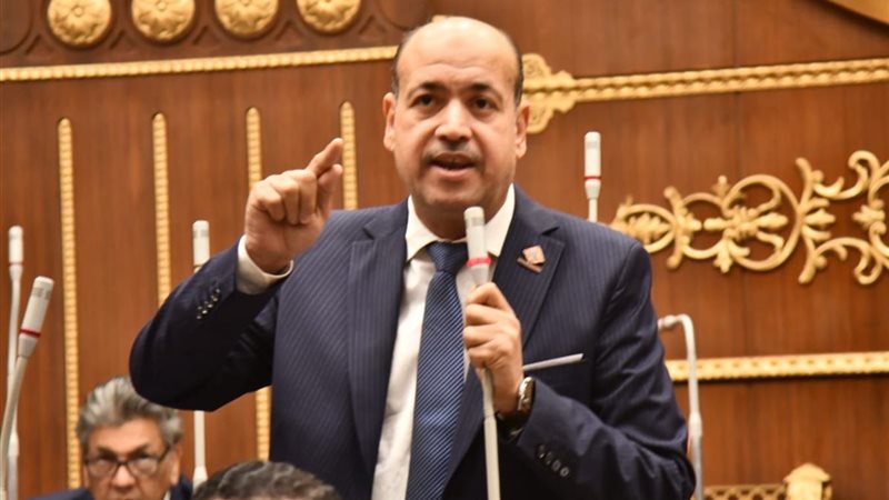 النائب أحمد سيد