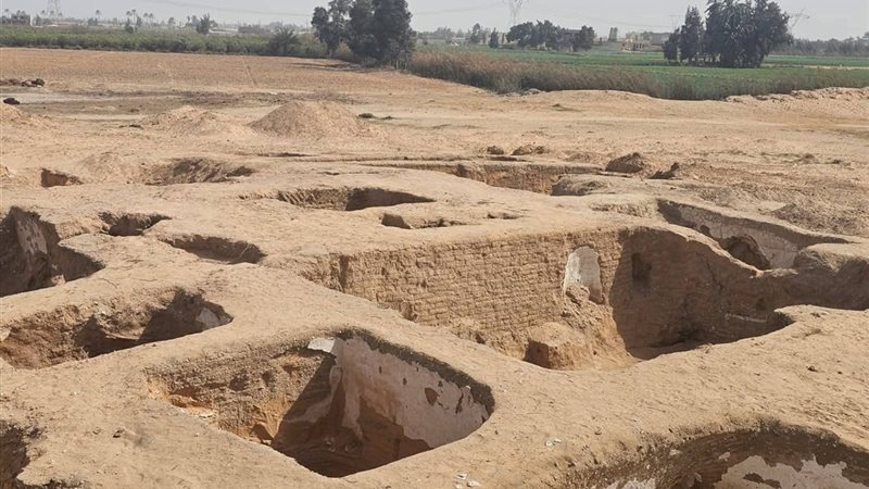 صورة من الاكتشاف