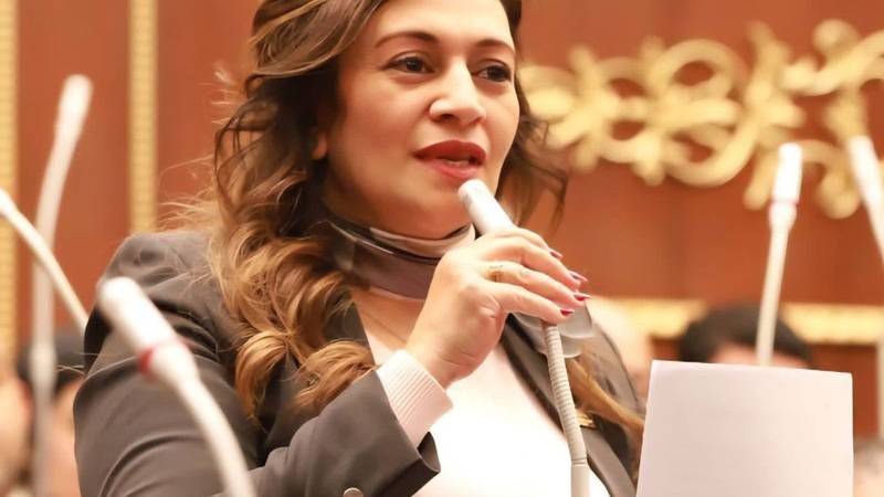 النائبة نيفين فارس،