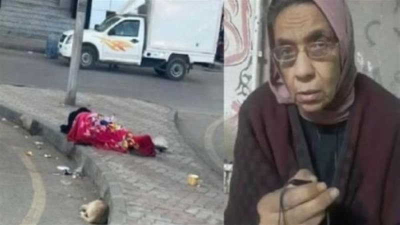 المهندسة ليلى ابراهيم