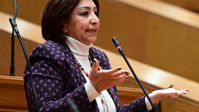 النائبة مها عبد الناصر عضو مجلس النواب 