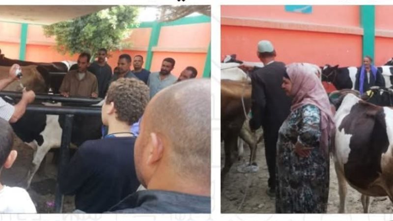 الحملة القومية للتحصين