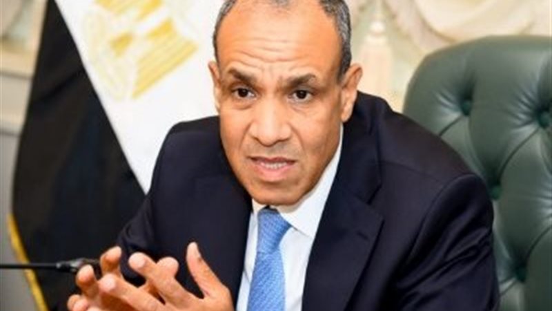 د. بدر عبد العاطي وزير الخارجية