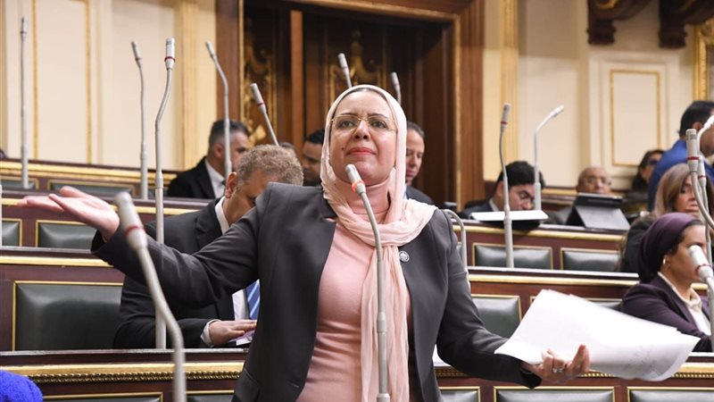 النائبة ريهام عبد