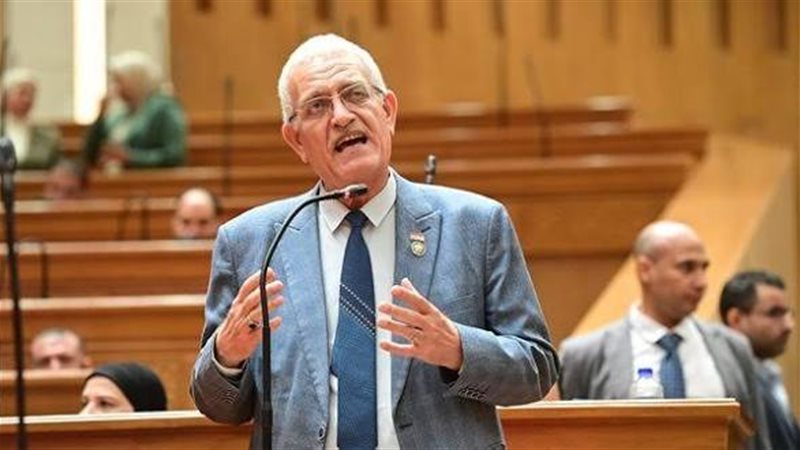 النائب عاطف المغاوري،