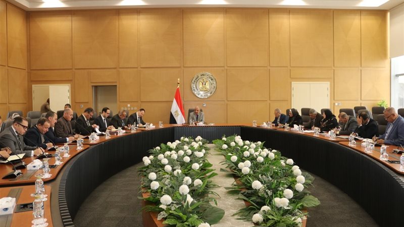 وزير الكهرباء 