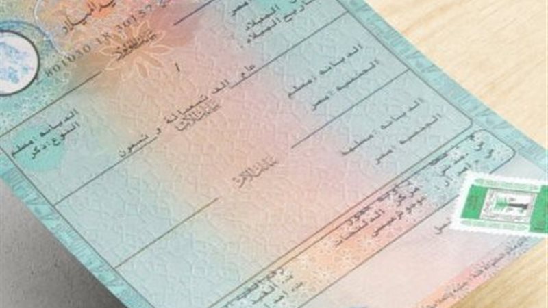 شهادة ميلاد مميكنة