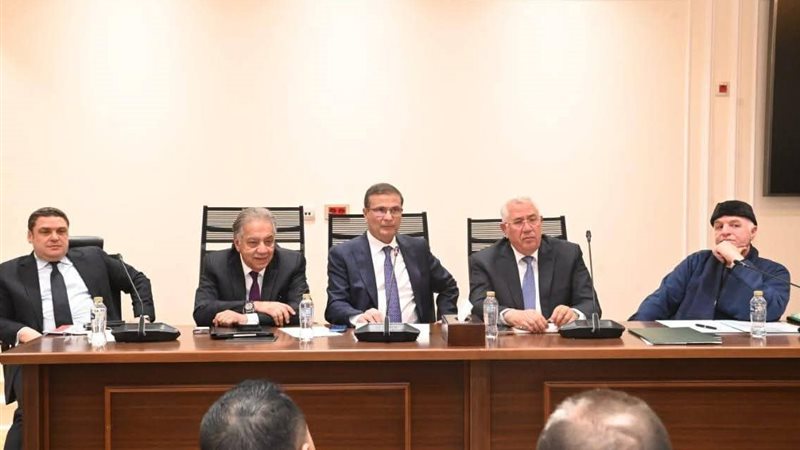 علاء فاروق أمام لجنة