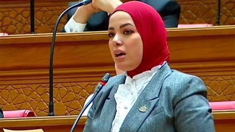 النائبة آية عبد الرحمن،