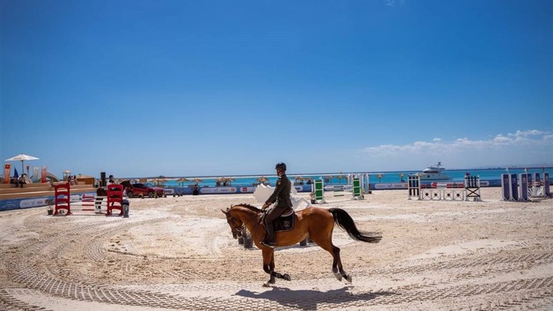 كأس مصر للفروسية