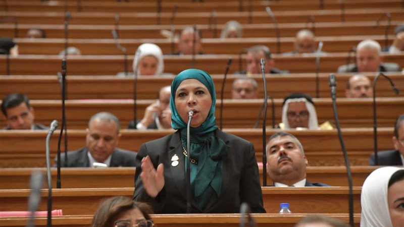 النائبة مريم العزب،