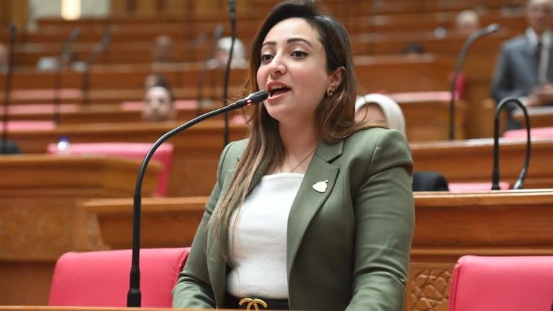 النائبة كريستينا