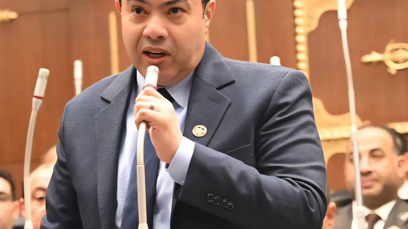 النائب إسماعيل الشرقاوي