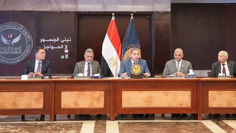 هيئة الرقابة المالية