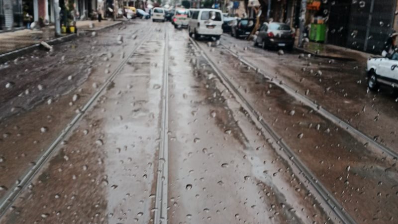 الاسكندريه 