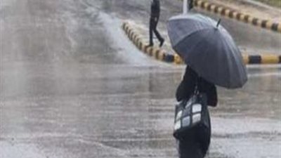 بسبب الطقس السيئ.. تعطيل الدراسة غدًا في الدقهلية ورفع حالة الطوارئ بالمحافظة