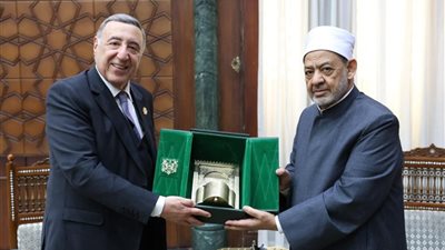 شيخ الأزهر يستقبل رئيس المحكمة الدستورية العليا في رسالة تضامن وطنية وإنسانية