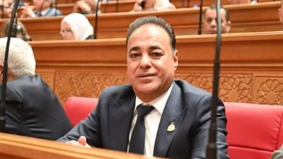 برلماني: استيراد النفط الليبي يجسد قوة العلاقات المصرية الليبية