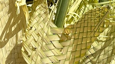 أجواء مبهجة في المنيا استعدادًا لأحد الشعانين.. وزعف النخيل يتصدر المشهد