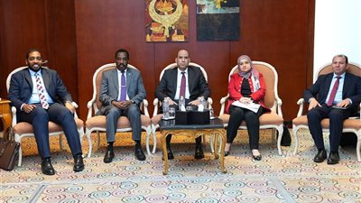 وزير العمل لنظيره السوداني: مصر جاهزة للمساعدة في خطة الإعمار