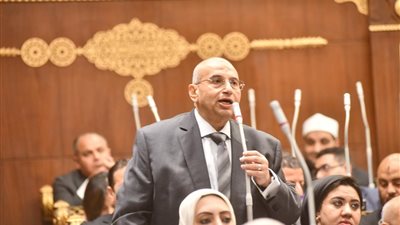 اقتصادية الشيوخ: تحويل «حماية المنافسة» لهيئة مستقلة ضرورة.. وتحذير من تحكمها في السوق