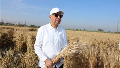 بـ42 موقعًا جاهزًا.. المنيا تستعد لاستقبال القمح لموسم 2026 