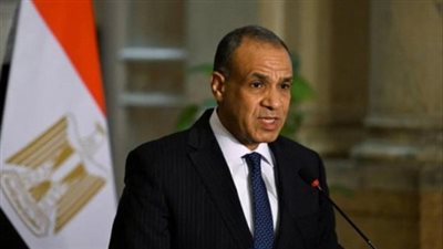 وزير الخارجية: تخصيص 100 مليون دولار لدعم مشروعات دول حوض النيل 