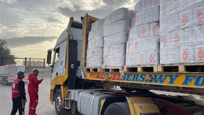 مصر تواصل جسر الإغاثة إلى غزة.. «الهلال الأحمر» يدفع بآلاف الأطنان من المساعدات الإنسانية