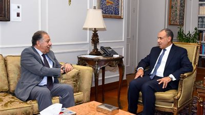 وزير الخارجية يؤكد ضرورة تكثيف الجهود لتعزيز التعاون مع الدول الإفريقية 