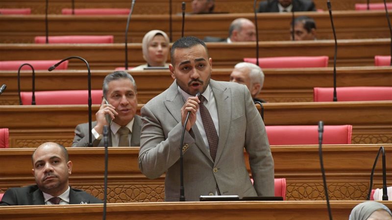 النائب أحمد ناصر،