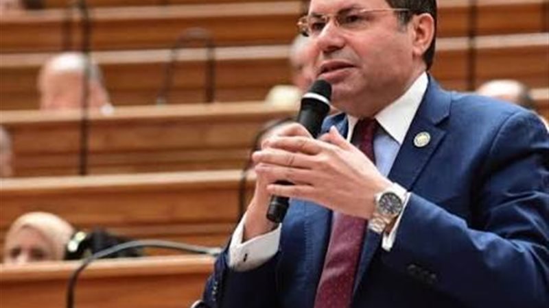 النائب هشام الحصري