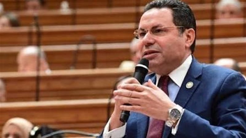 النائب هشام الحصري