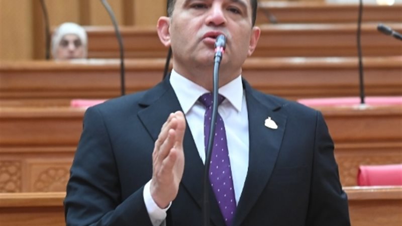 النائب أمير الجزار