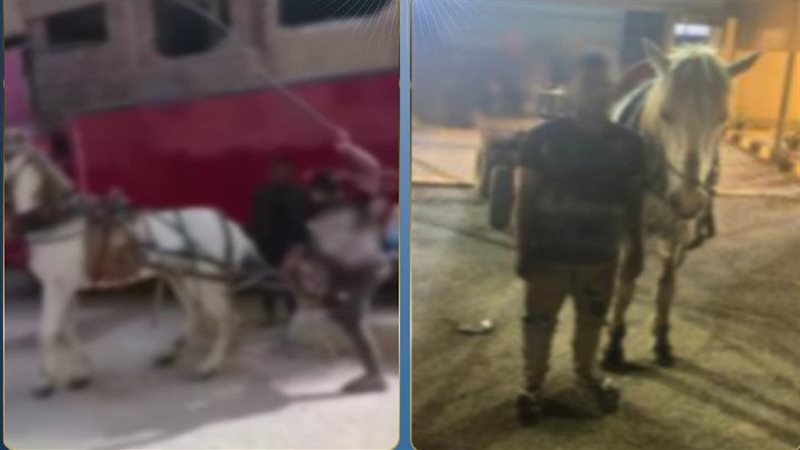 المتهم والواقعة