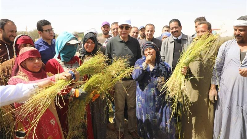 دعم مزارعين المنيا