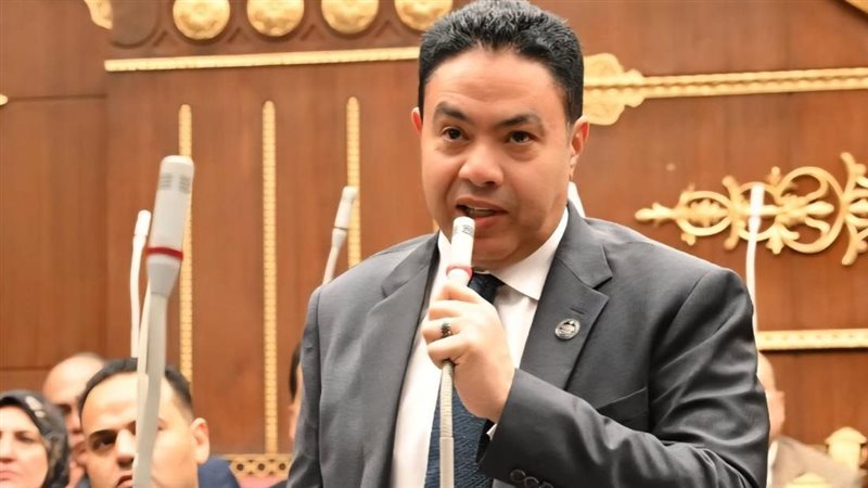 النائب إسماعيل الشرقاوي